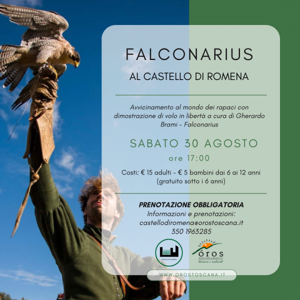 falconarius-1